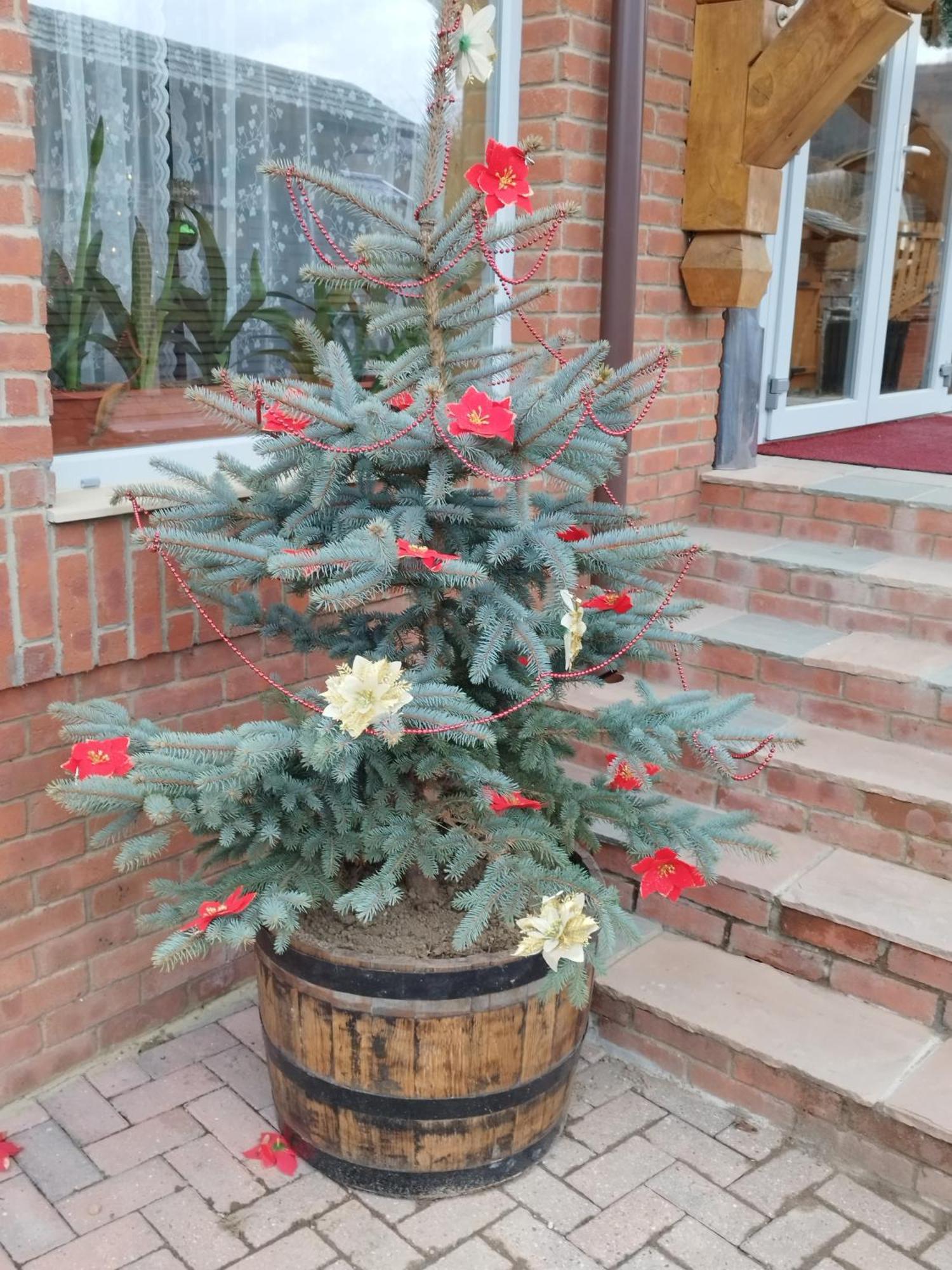 Pensiunea Popas Pop, Strambu-Baiut, Maramures Exterior foto