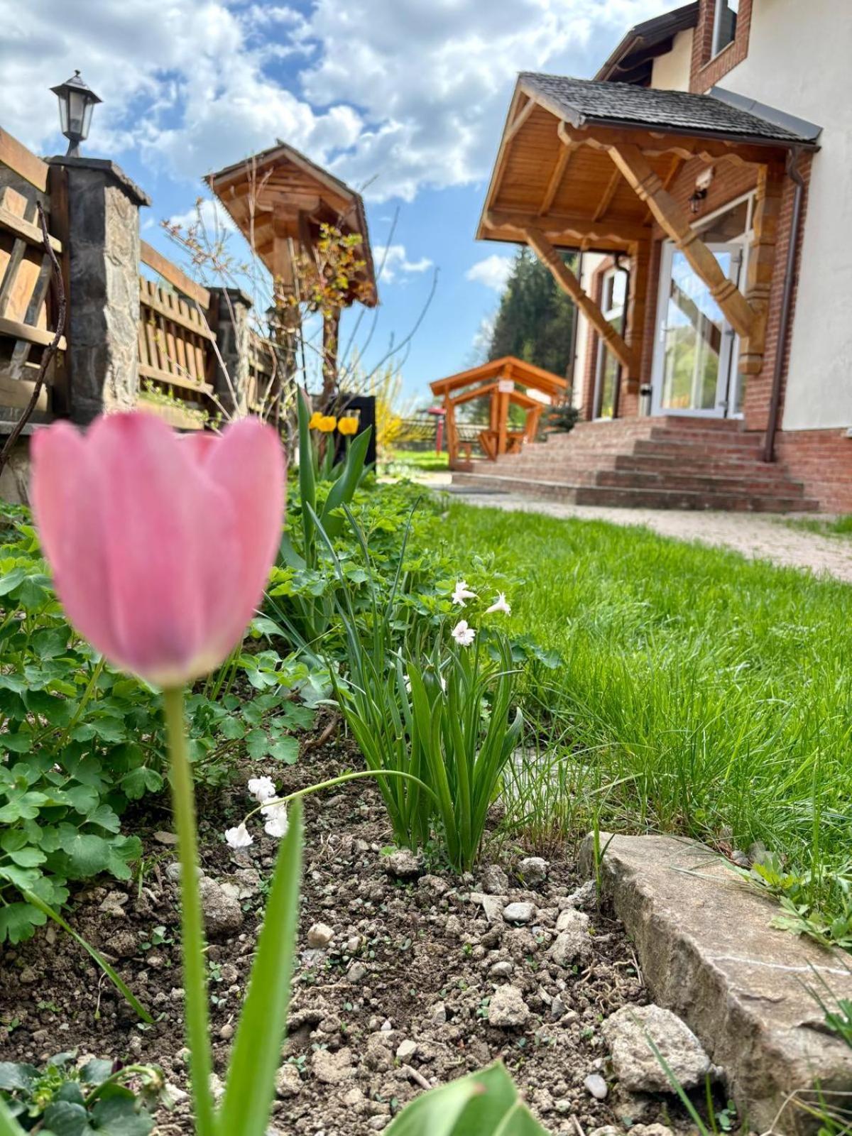Pensiunea Popas Pop, Strambu-Baiut, Maramures Exterior foto
