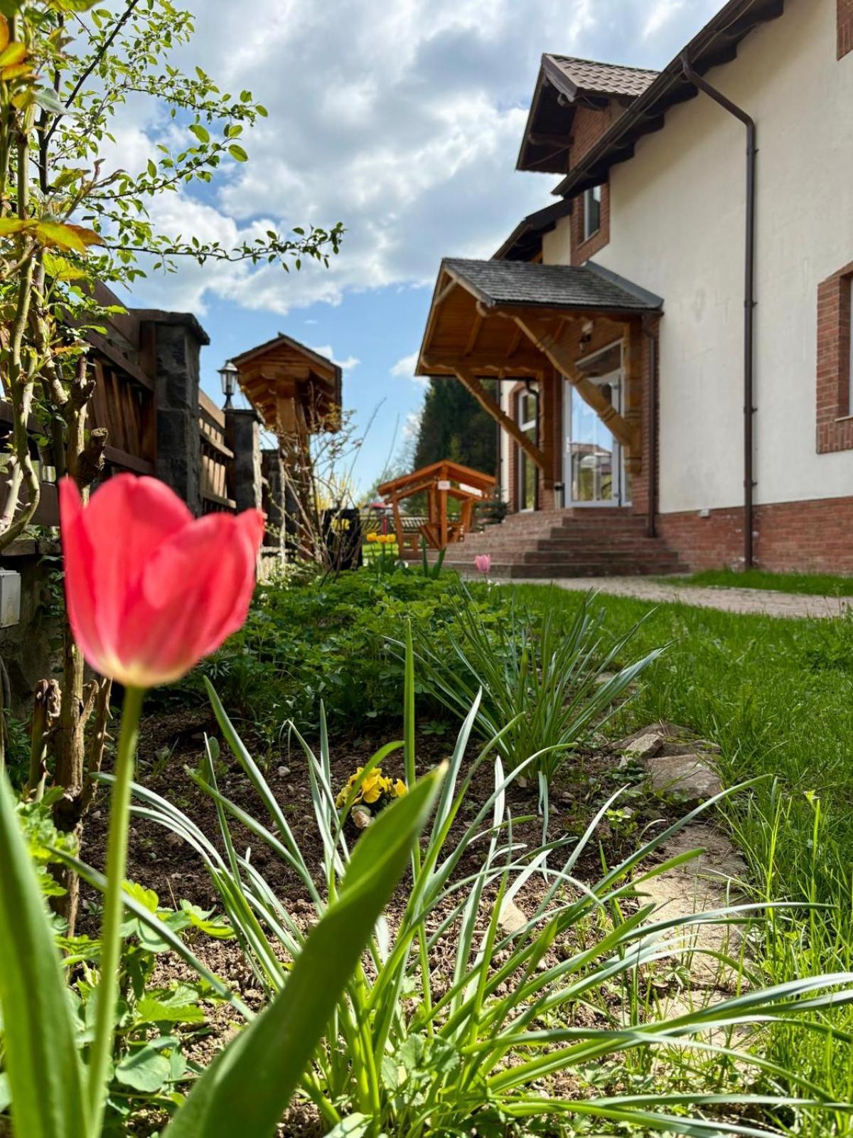 Pensiunea Popas Pop, Strambu-Baiut, Maramures Exterior foto