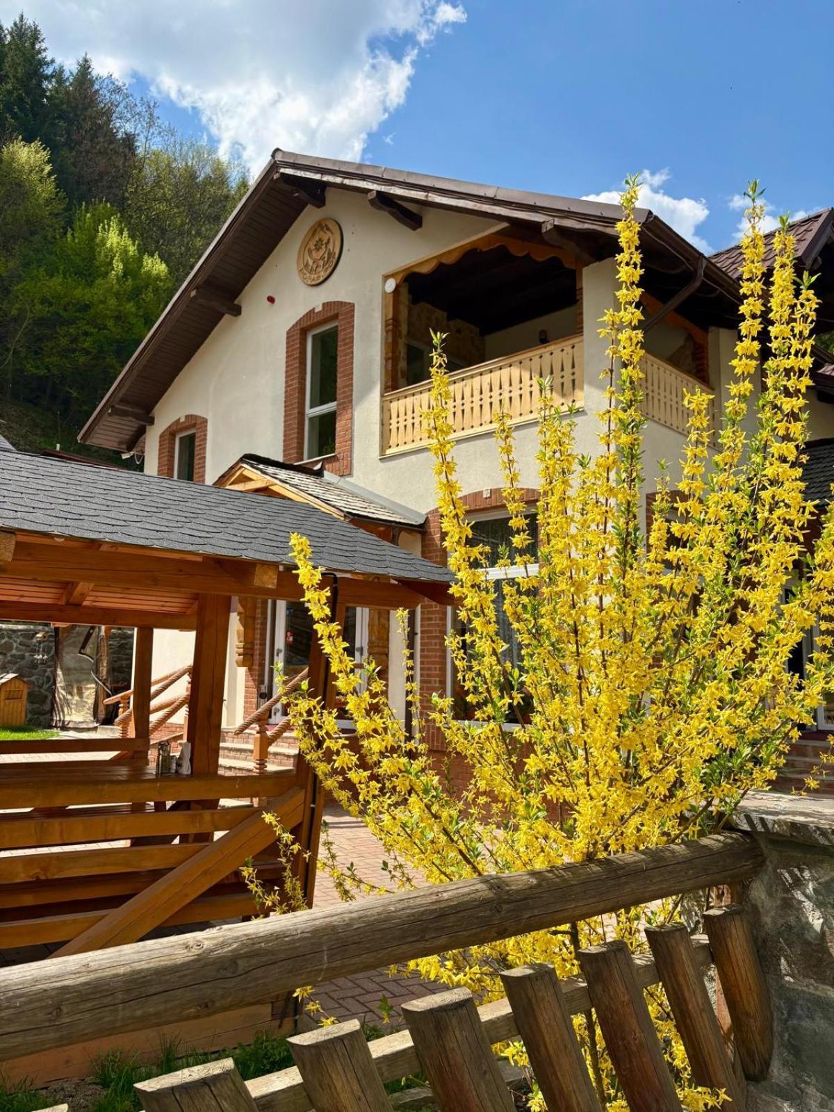 Pensiunea Popas Pop, Strambu-Baiut, Maramures Exterior foto