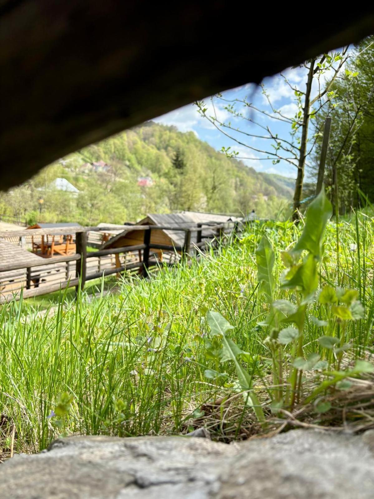 Pensiunea Popas Pop, Strambu-Baiut, Maramures Exterior foto