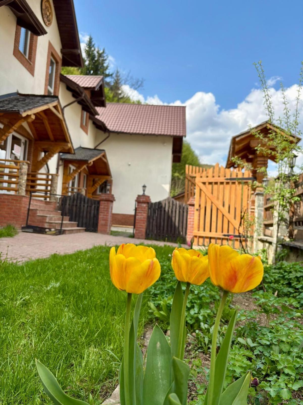 Pensiunea Popas Pop, Strambu-Baiut, Maramures Exterior foto