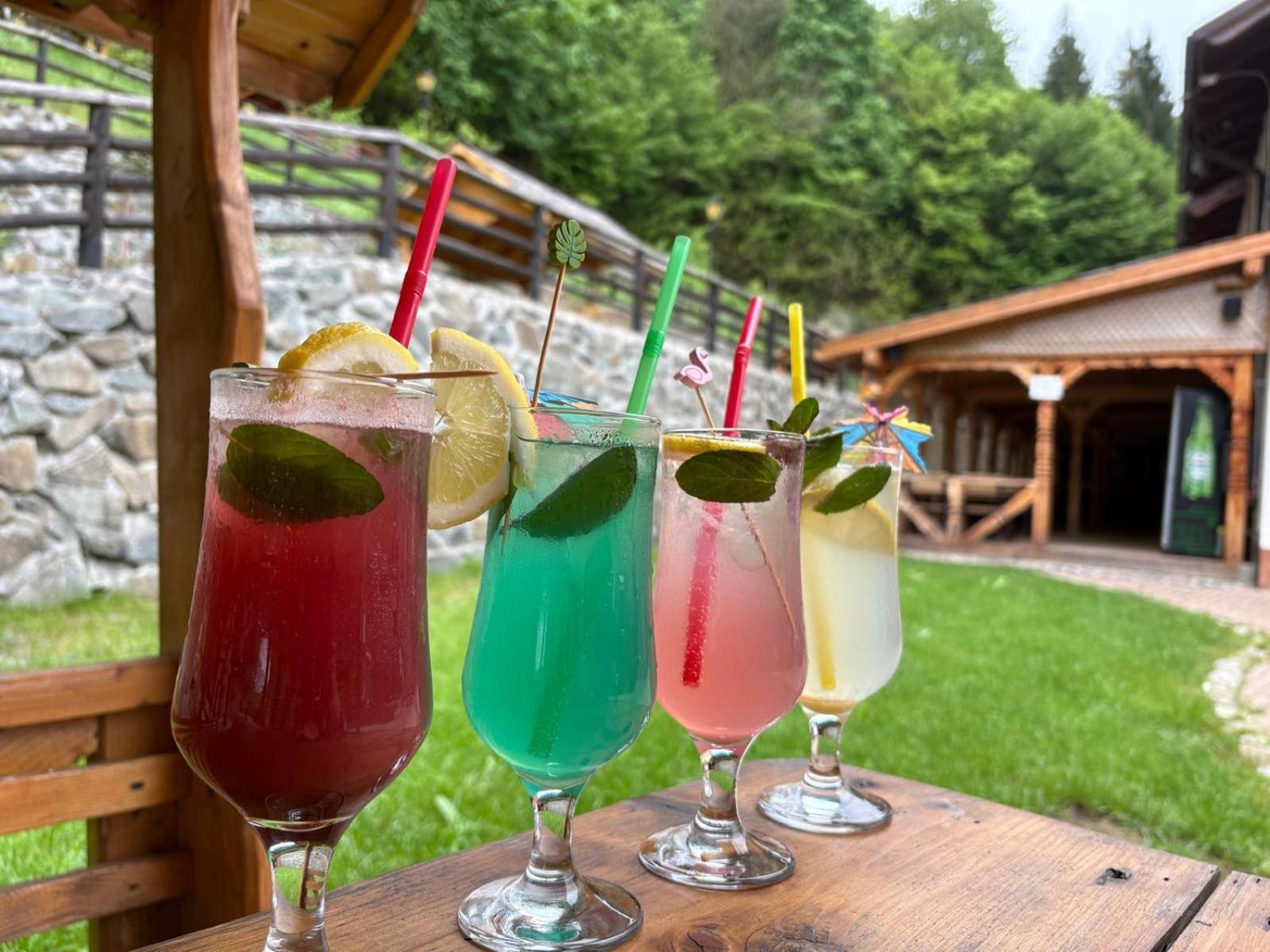 Pensiunea Popas Pop, Strambu-Baiut, Maramures Exterior foto